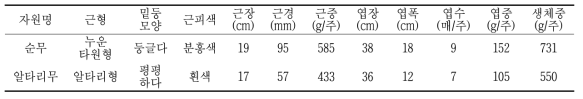 수집 토종순무 및 알타리무 재배적 특성(가을재배)