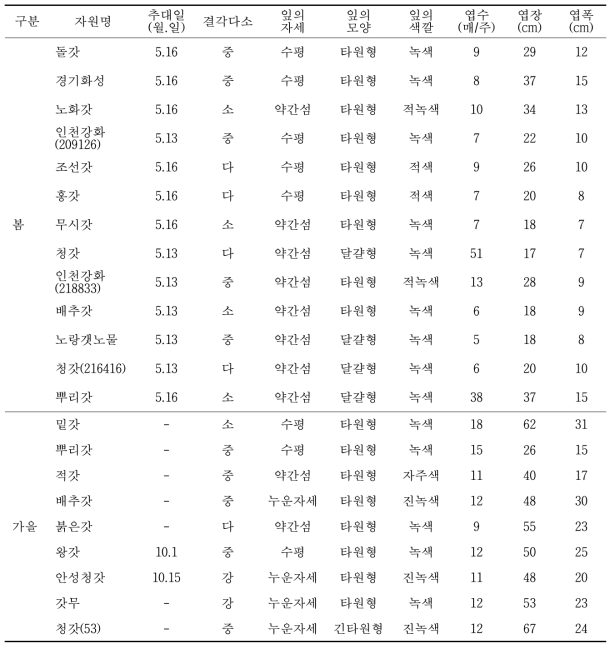 수집 토종갓의 재배적 특성(봄, 가을)