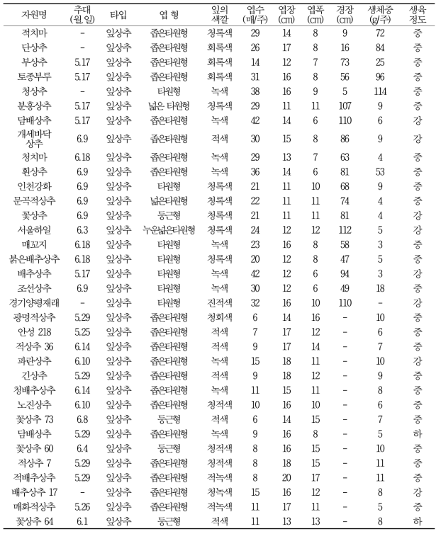 수집 토종상추의 재배적 특성