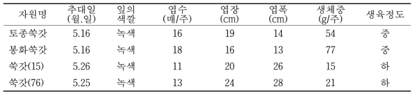 토종쑥갓의 재배적 특성