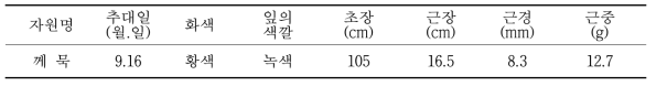 토종께묵의 재배적 특성