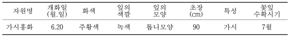 토종가시홍화의 재배적 특성