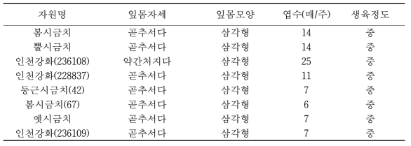 토종 시금치의 재배적 특성