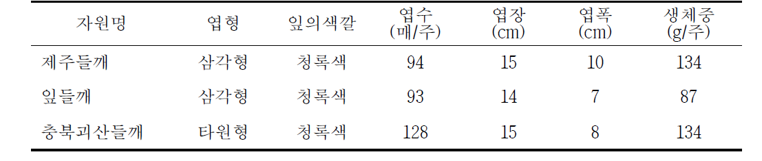 토종 들깨의 재배적 특성