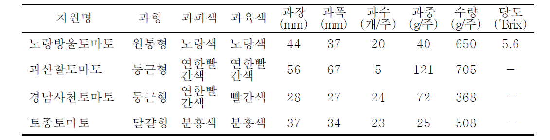 토종토마토의 생육 특성