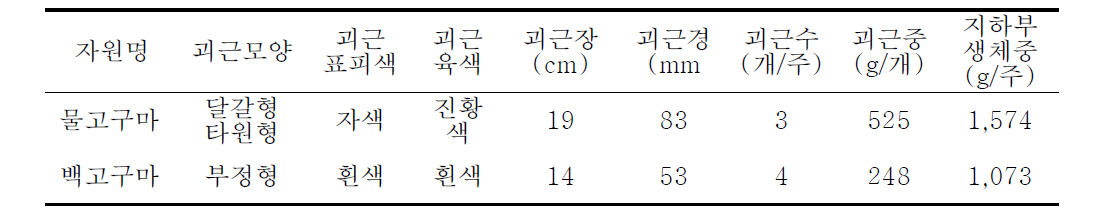 토종고구마의 생육 특성