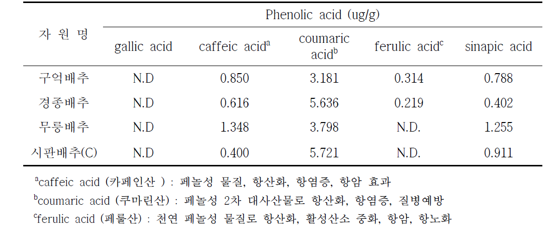 수집 토종배추의 Phenolic acid 함량