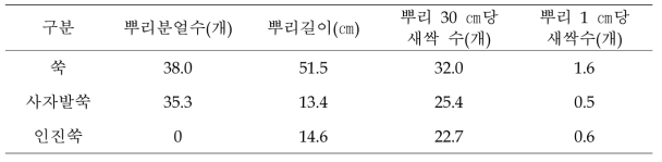 쑥 종류별 분얼수, 뿌리길이 등 생육상황 (120일 후)