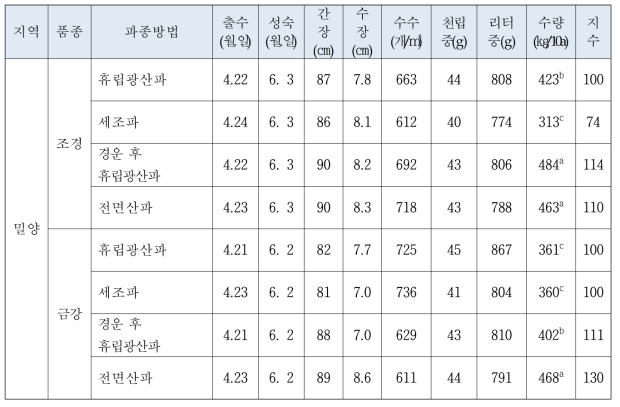 시험지별 생육특성 및 수량(밀양)