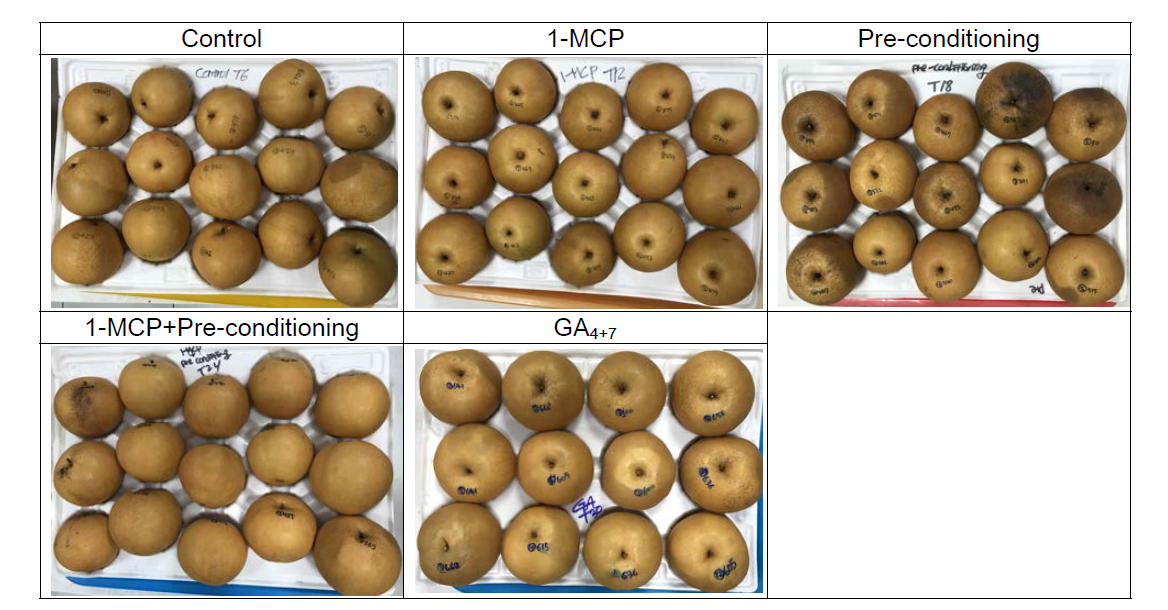 수확 후 ‘원황’배 수확 후 처리부터 대만에서의 상온유통 시까지의 각 처리에 따른 과피의 반응