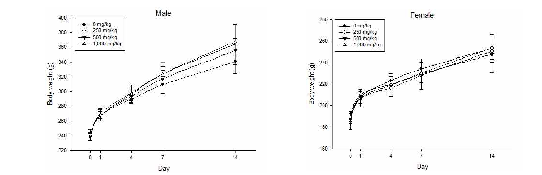 단회투여 대상동물(rats)의 체중변화 그래프