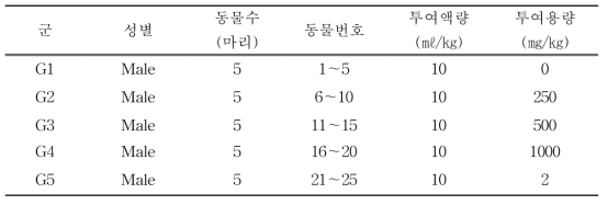 소핵시험 시험군의 구성