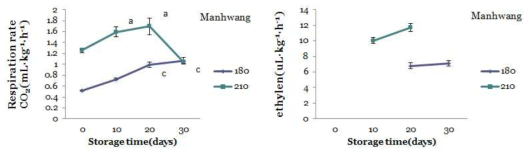 ‘만황’의 저장 기간 및 상온 저장 중 호흡률 비교