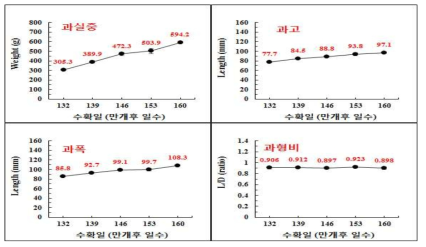 ‘창조’ 배 과실의 성숙 중 과실발육의 변화