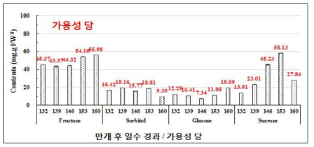 ‘창조’ 배 과실의 성숙 중 과실 내 가용성 당 조성의 변화