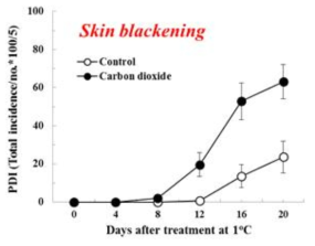 ‘추황배’ 흑변에 미치는 2% 이산화탄소의 영향
