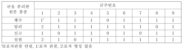 단포자 분리한 검은별무늬병균의 증식 상태(14일차)