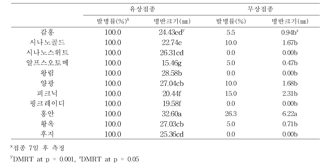 품종별 탄저병 발병률 및 병반크기(2016)