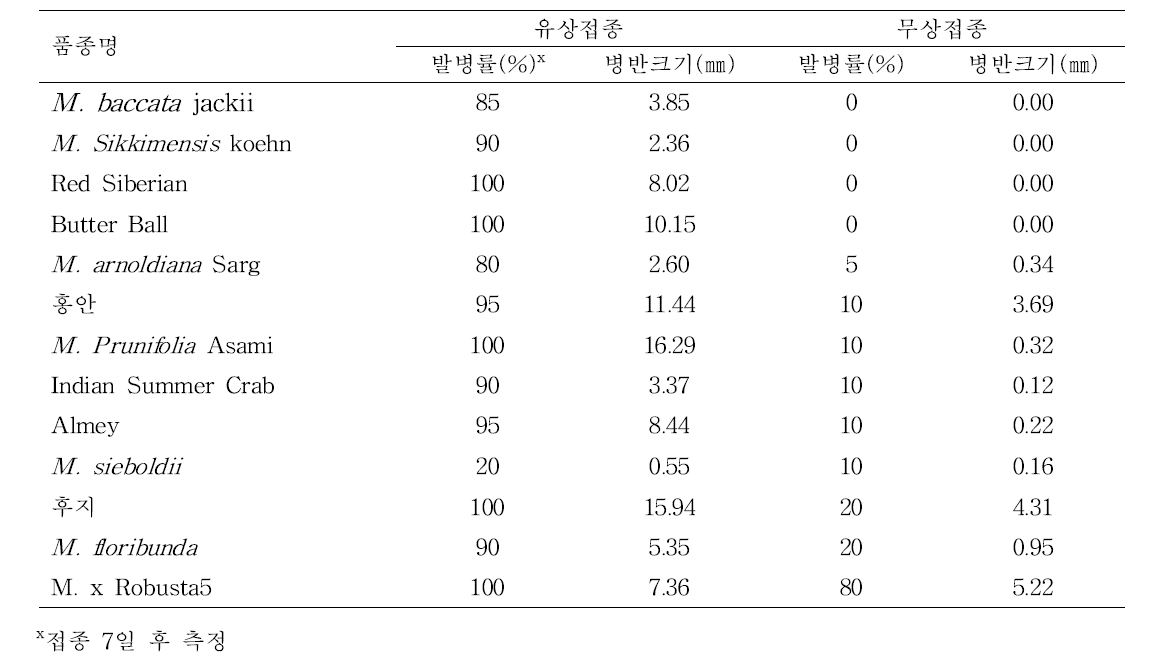 품종별 탄저병 발병률 및 병반크기(2017)