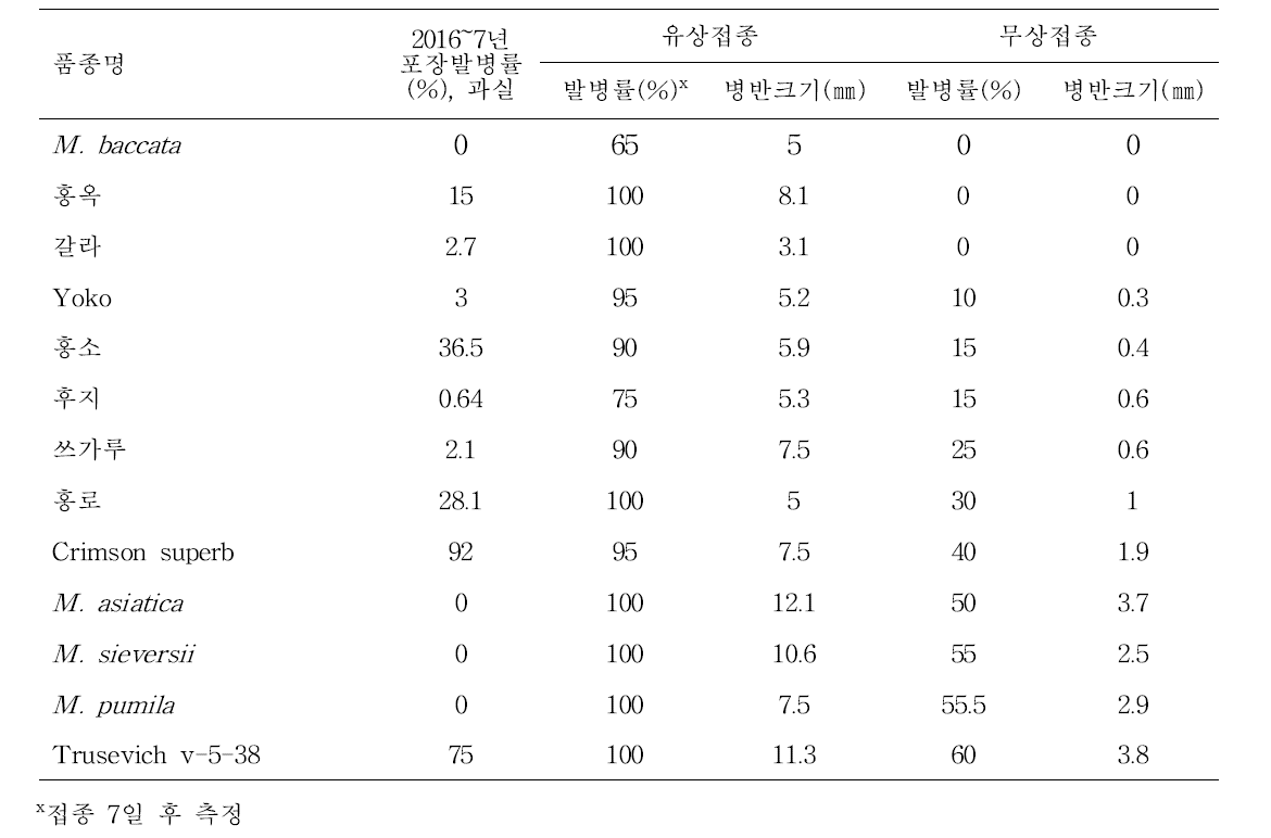 품종별 탄저병 포장발병률과 잎 탄저병 인공접종 결과(2016, 2017)