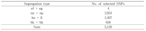 배 ‘그린시스’ × ‘화산’의 연관지도 작성을 위해 선발된 SNP 마커