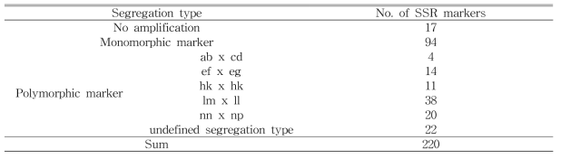 ‘그린시스’ × ‘화산’ 이용 SSR 마커 genotyping 수행 결과