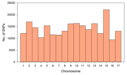 사과 chromosome 별 SNP 분포도