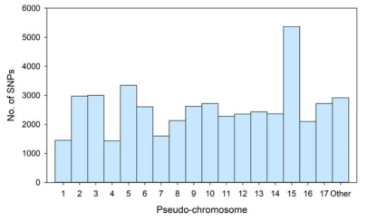 배 유전자원 231점의 pseudo-chromosome 별 SNP 분포도