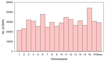 사과 chromosome 별 SNP 분포도