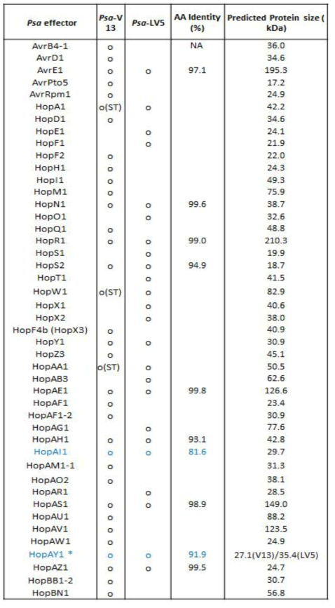 키위궤양병균이 식물세포로 분비하는 effectors