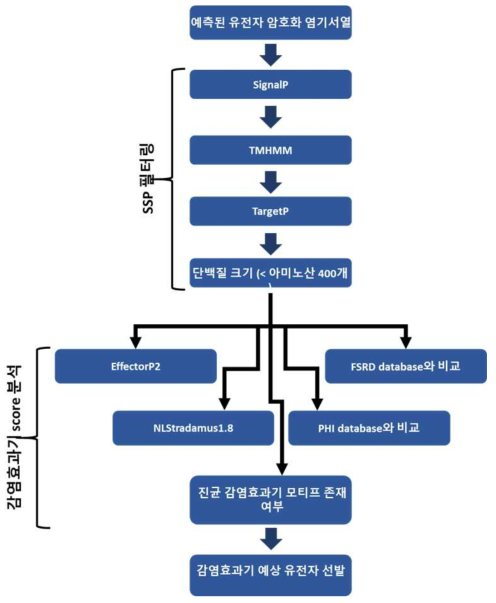 진균 감염효과기 예측 파이프라인