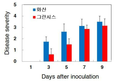 배검은별무늬병 품종간 병 진전 그래프