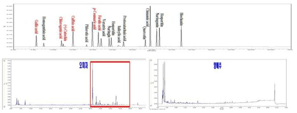 양배추및오미자발효전․후페놀성분분석
