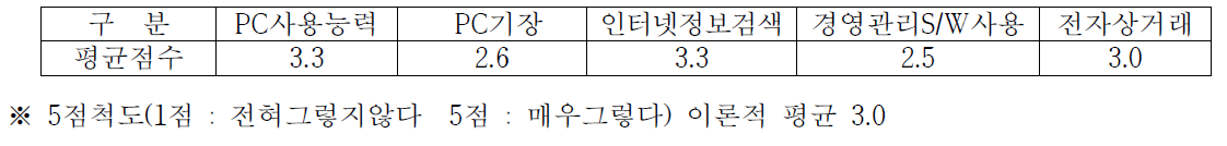 컴퓨터 사용역량