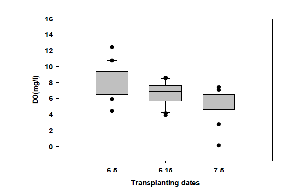 벼 이앙 시기별 용존산소량 변화