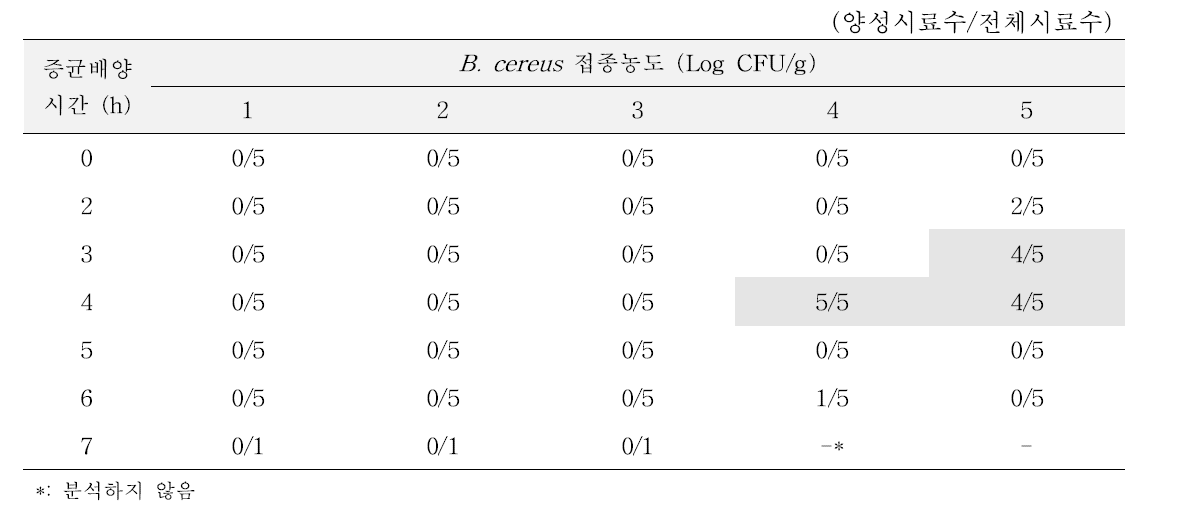 양배추 내 Bacillus cereus 증균배양 시간에 따른 PCR 분석결과