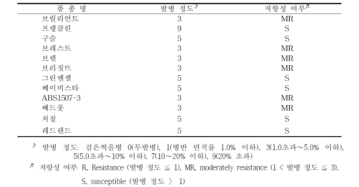 유묘기검은썩음병접종에따른병저항성정도