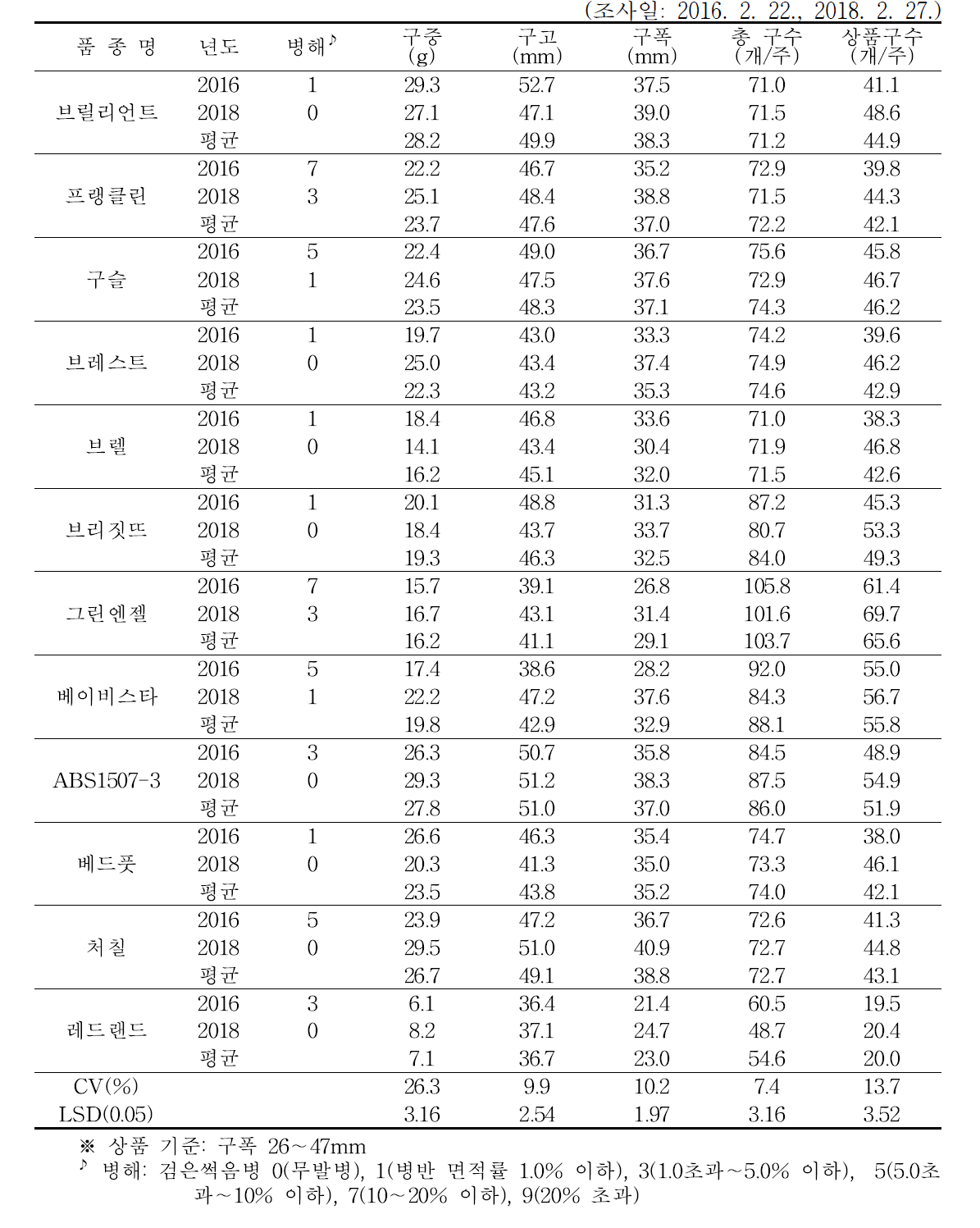 방울다다기양배추 품종별 구 특성