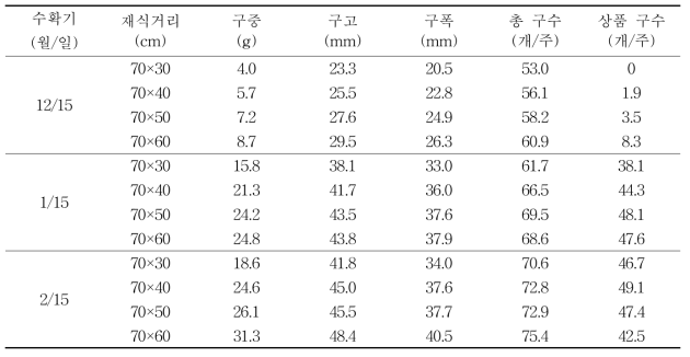 수확시기에 따른 재식거리별 구의 특성