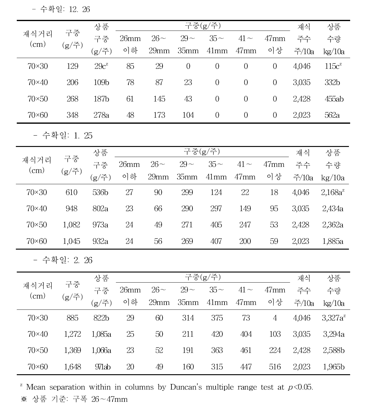 재식거리에 따른 방울다다기양배추의 수량 특성