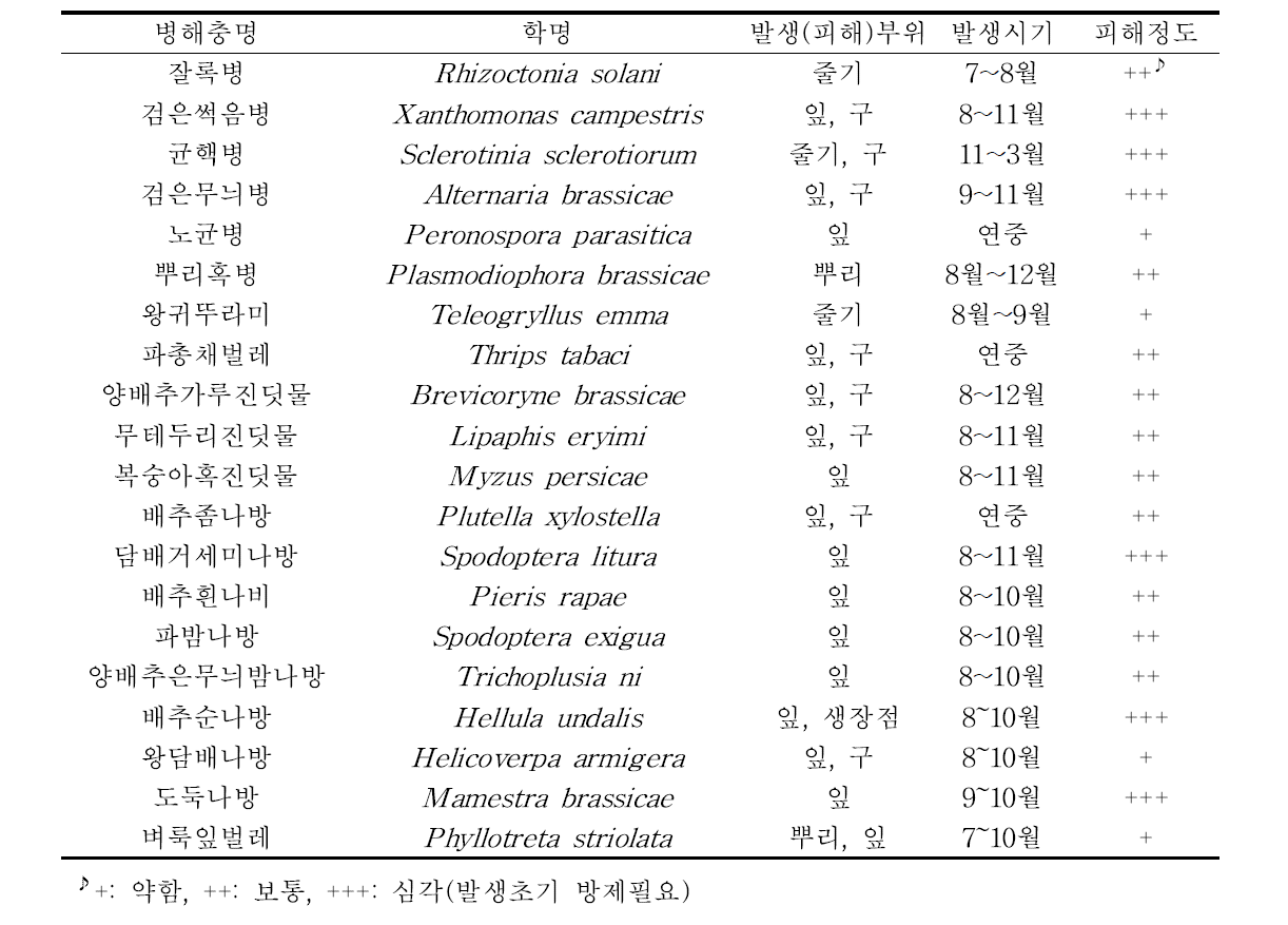 제주지역 월동재배 방울다다기양배추에서 발생하는 병해충의 발생 및 피해 특성