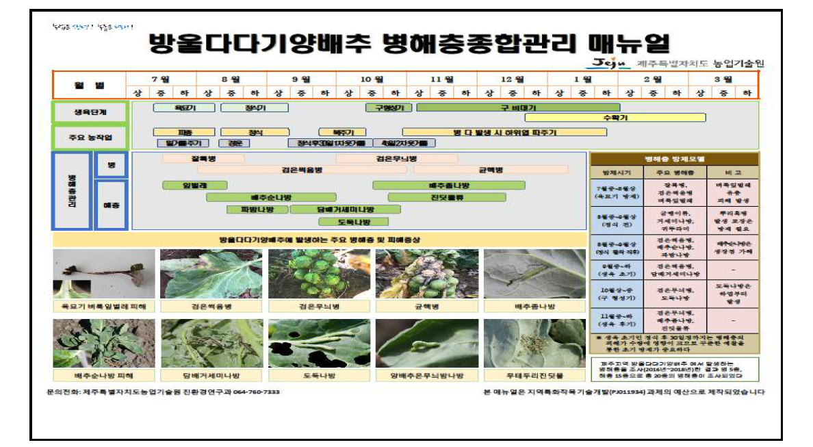 방울다다기양배추 병해충종합관리 매뉴얼(영농기술정보 활용)