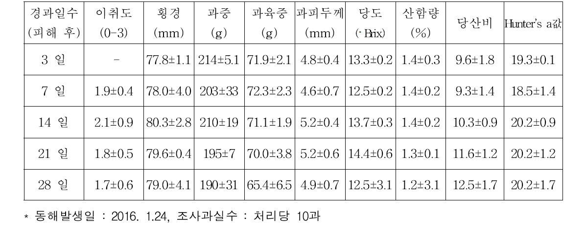 동해 피해 한라봉 과실의 과실품질 특성(피해 발생 후 1개월)