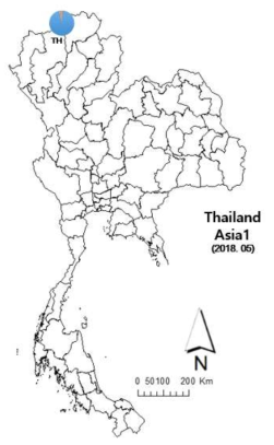 파이차트로 나타낸 2018년 국외(태국) 담배가루이 개체군의 유전적 구조