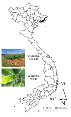 2017년 베트남 목화진딧물 채집지역과 채집된 기주식물 정보