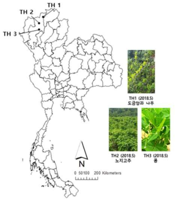 2018년 태국 목화진딧물 채집지역과 채집된 기주식물 정보