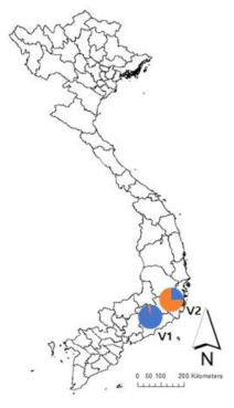 파이차트로 나타낸 2017년 국외(베트남) 2개 지역 목화진딧물 개체군의 유전적 구조