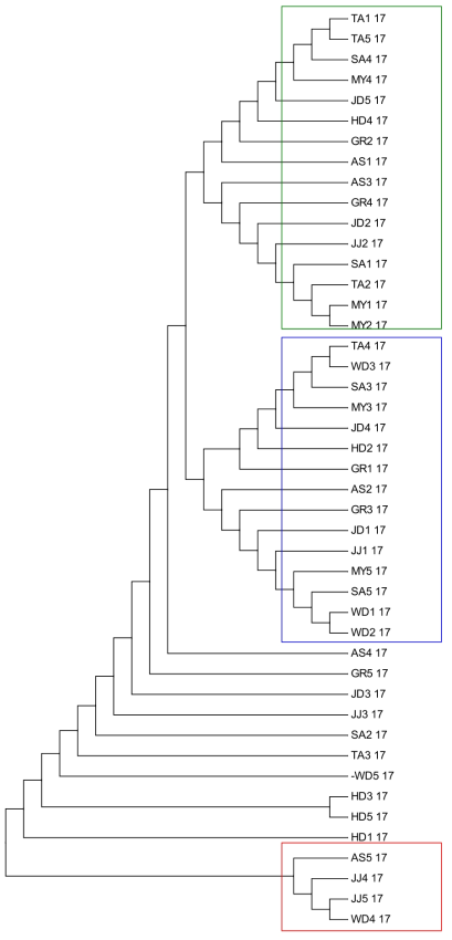 2017년 국내 9개 지역 흰등멸구의 sequencing을 기반으로 한 Neighbor-Joining tree 클러스터링 결과