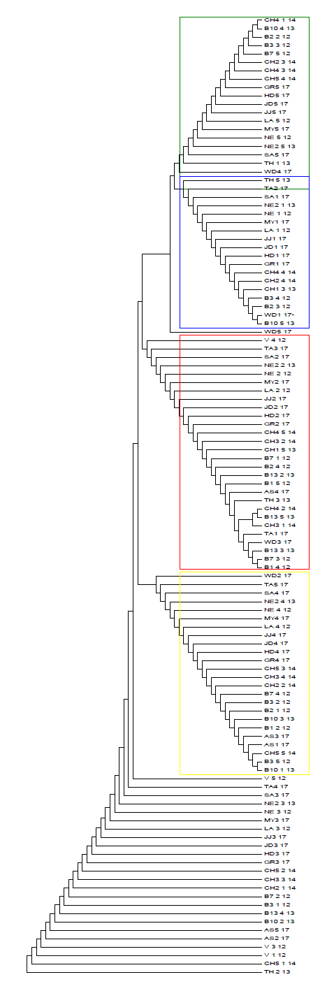 국내 9개 지역(2017)과 국외 16개 지역(2012~2014년) 흰등멸구의 sequencing을 기반으로 한 Neighbor-Joining tree 클러스터링 결과