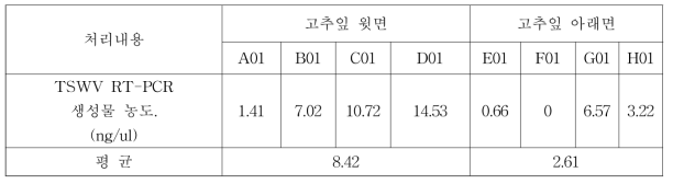 고추잎에서 바이오큐브 처리방법에 따른 TSWV RT-PCR 농도